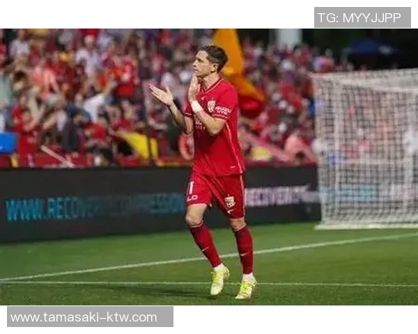 伊比布奇与大卫图阿的巅峰对决谁将赢得最终胜利的精彩分析与预测